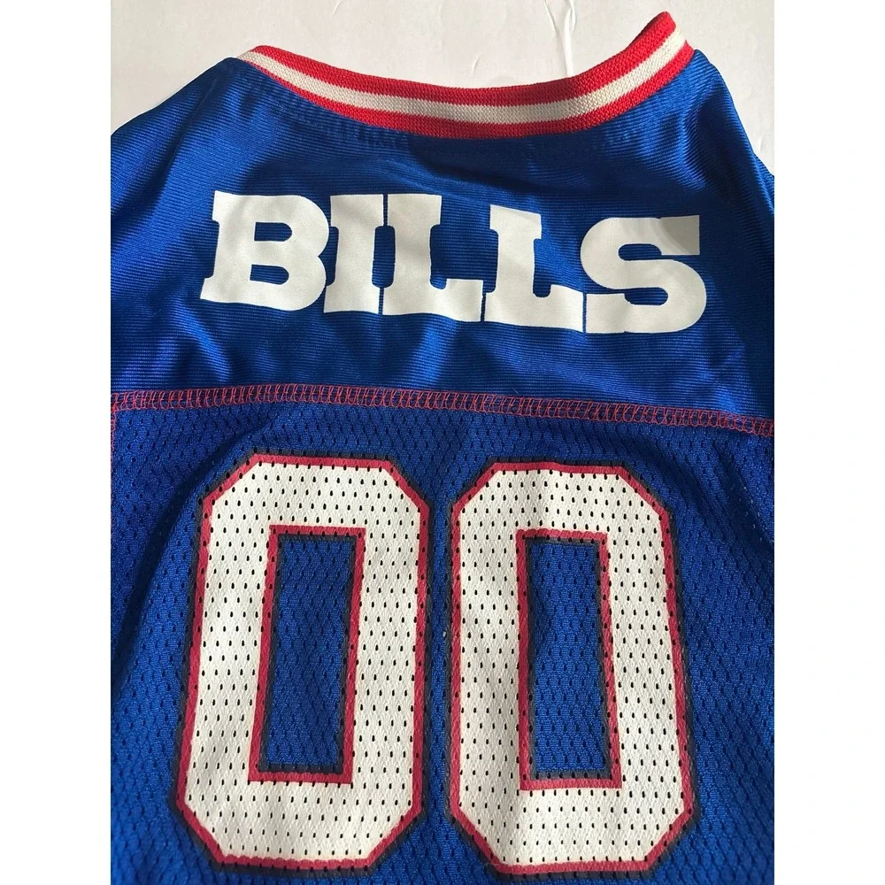 NFL this buffalo